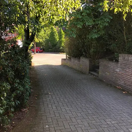 Hasen * Lingen